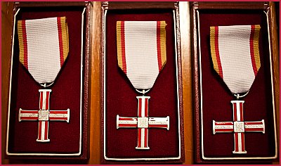 Krzyż Wolności i Solidarności